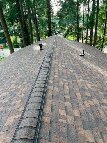 roof repair