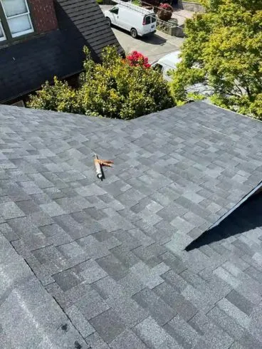 roof repair