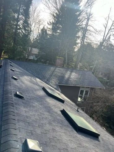 roof replacement