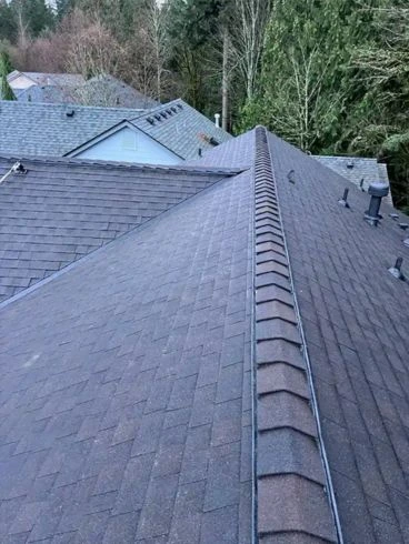 roof replacement