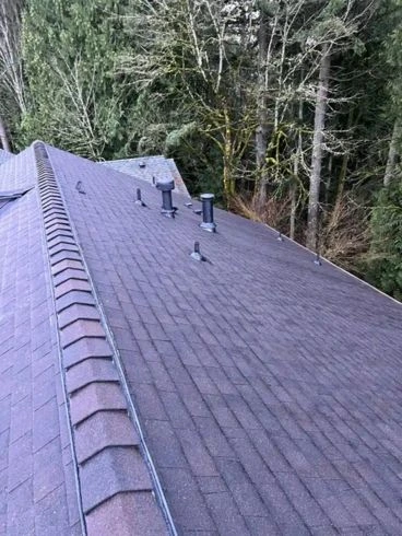 roof replacement